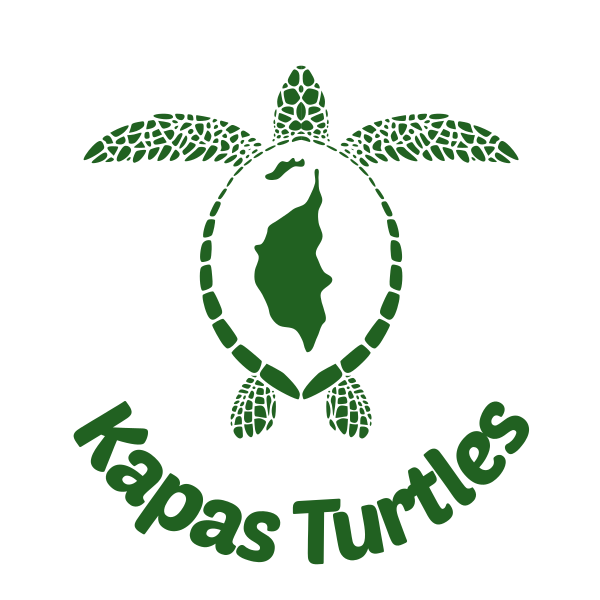 Kapas Turtles