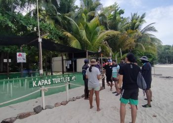 MV-Running-Turtle-Talks-to-Island-Guests